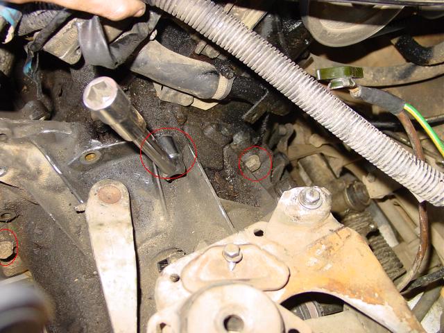 a_dsc08643.jpg